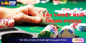 Tìm hiểu sơ lược về thuật ngữ trong game Poker